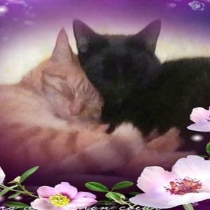 Meet your Posher, Nikki